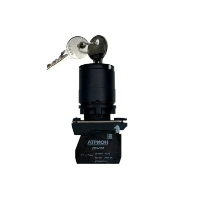 Переключатель с ключом LA37-B5G211P, тип 1-2, 1NO+1NC, 3A(240VAC), черная рукоятка, фронт IP66 фото